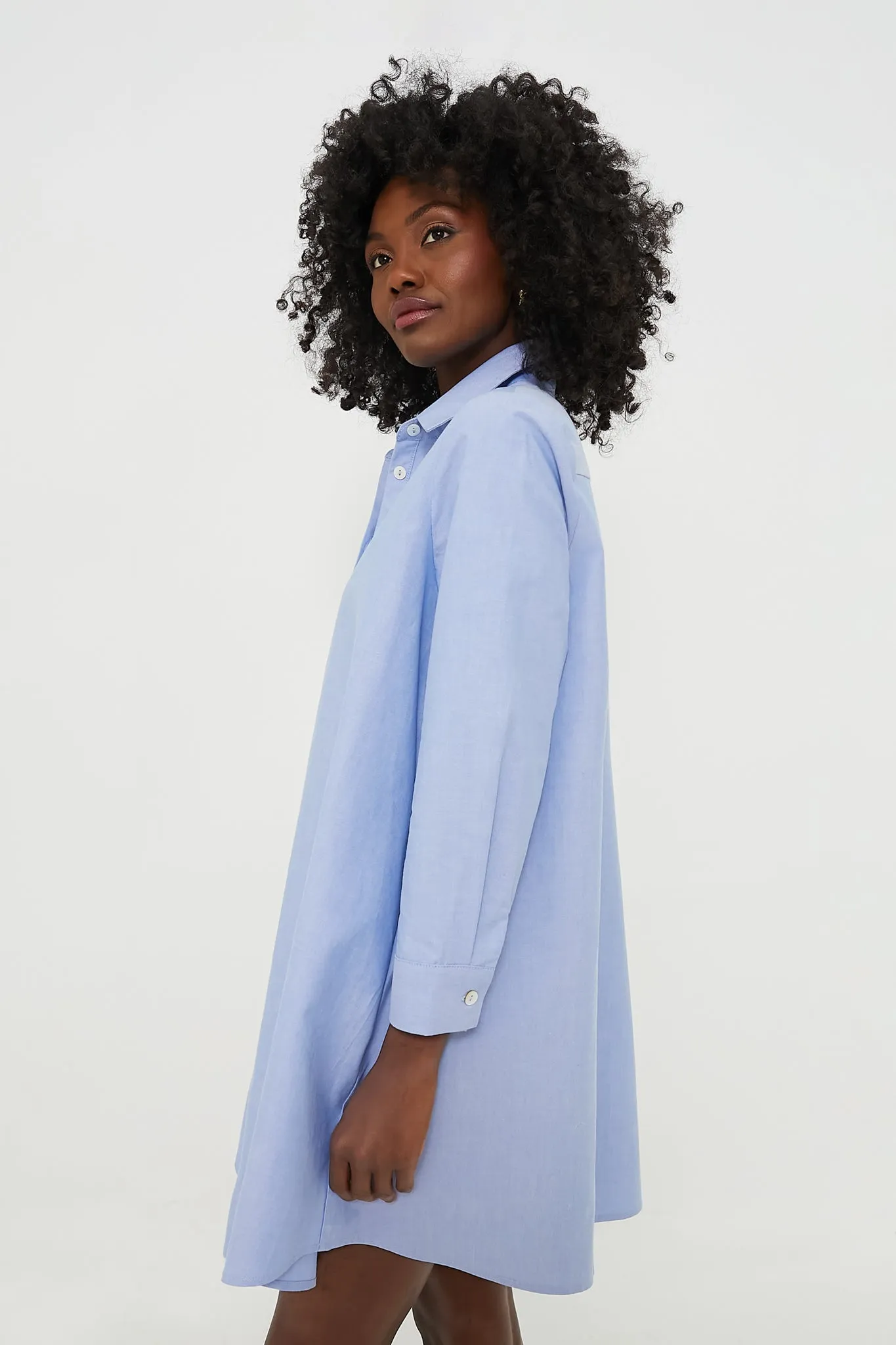 Chambray Harris Shirt Dress