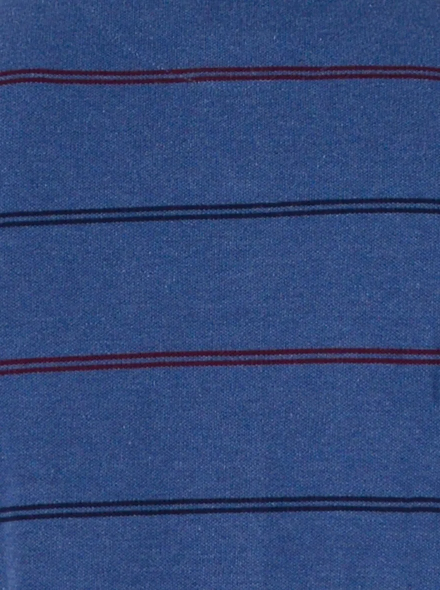 Navy Blue Striped Slim Fit Polo T-Shirt | Greenfibre